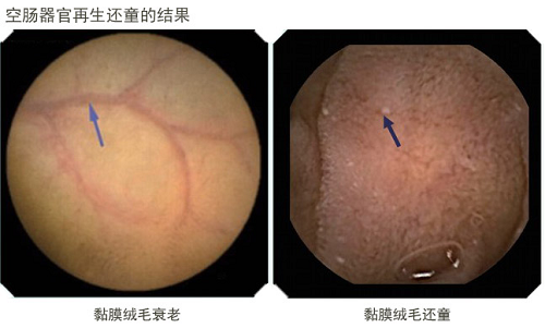 首页| G22恒峰集团中国官方网站