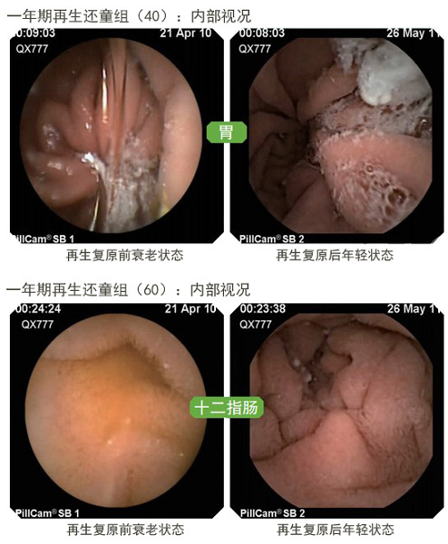 首页| G22恒峰集团中国官方网站