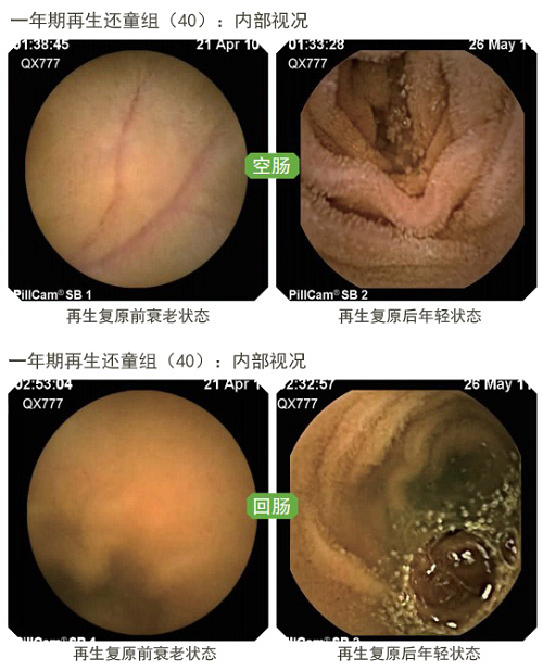 首页| G22恒峰集团中国官方网站