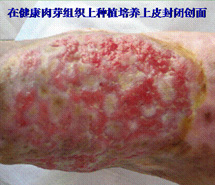 首页| G22恒峰集团中国官方网站